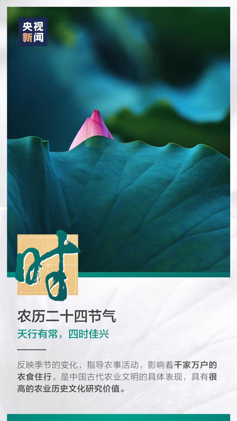 這也太浪漫了吧！