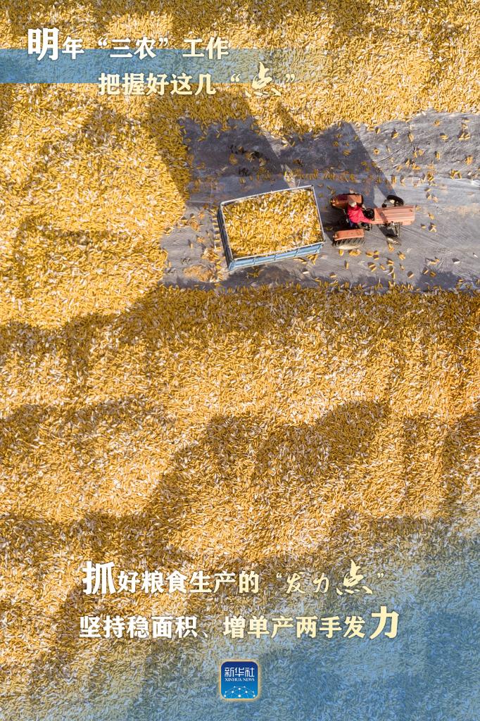 明年“三農(nóng)”工作，這幾個(gè)“點(diǎn)”要把握好