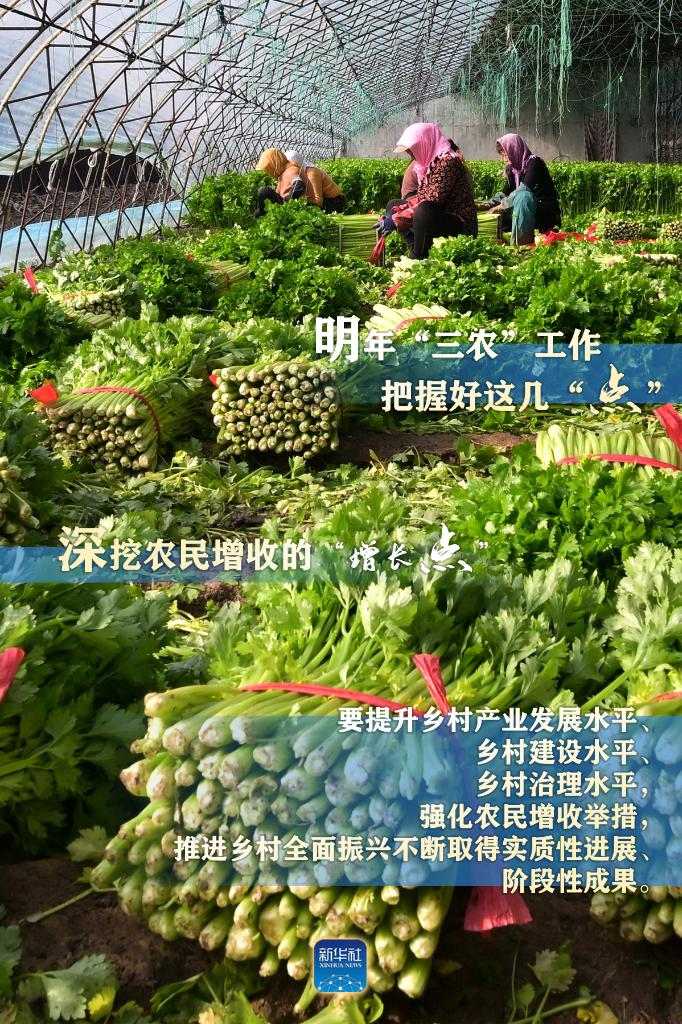 明年“三農(nóng)”工作，這幾個(gè)“點(diǎn)”要把握好