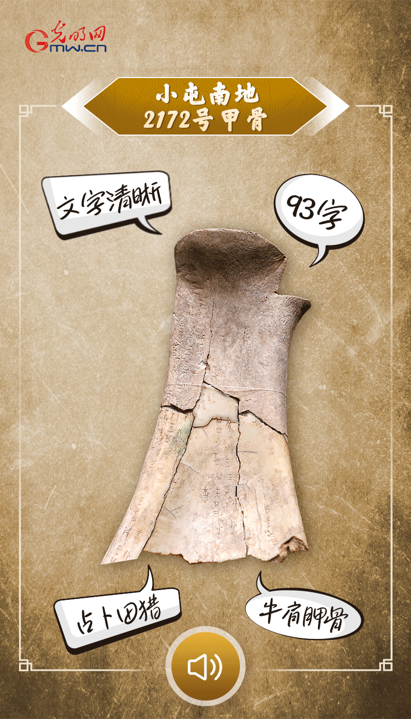 文物會(huì)說(shuō)話 | 殷墟博物館新館開館啦，帶你奔赴“千年之約”