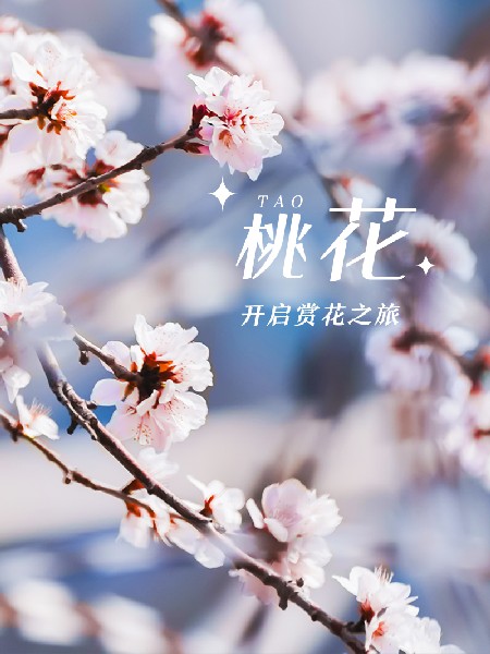 追花指南第三期！別等了 今天就去和桃花撞個(gè)滿懷