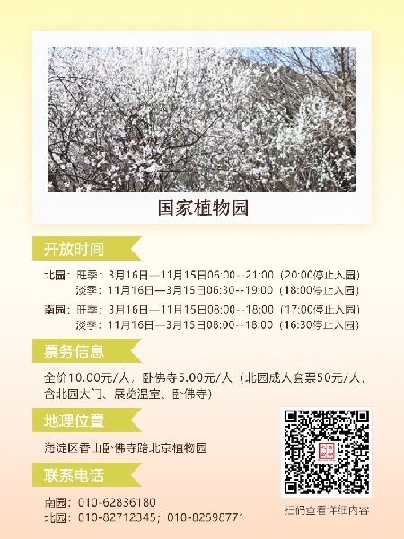 追花指南第六期！杏花雨 楊柳風(fēng) 北京最美的杏花在這里