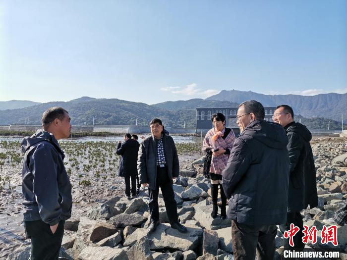 浙江海洋生態(tài)觀察：智慧大腦如何解鎖藍色發(fā)展密碼？
