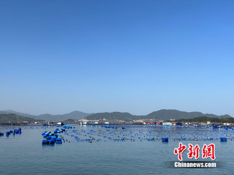 霞浦縣海上魚排。<a target='_blank' href='/' ><p  align=