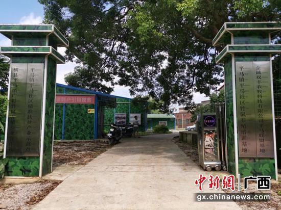 圖為平馬社區(qū)竹鼠養(yǎng)殖基地。