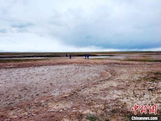 圖為救援力量在青海省西部搜救失聯(lián)的江蘇南京某大學(xué)女生黃某某。海西州藍(lán)天應(yīng)急救援中心 供圖