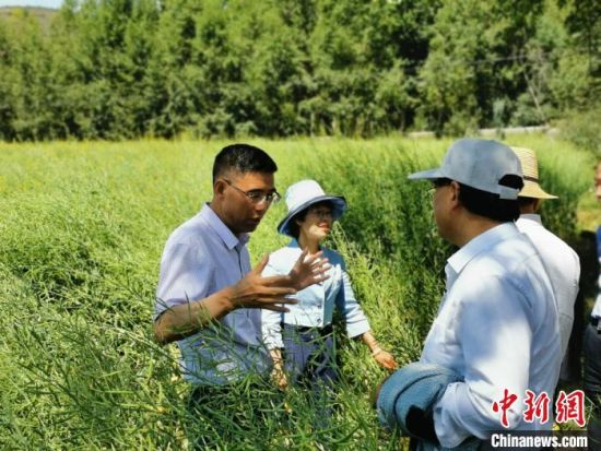 圖為九三學(xué)社青海省委主委杜德志(左一)在基層調(diào)研。受訪者供圖