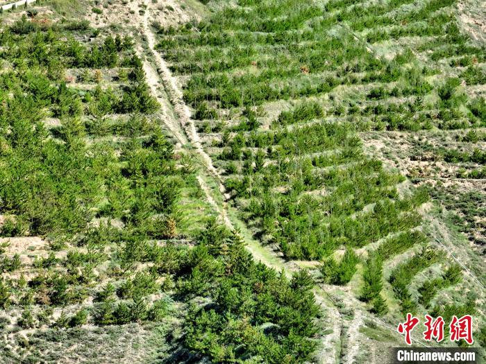 航拍建行青海省分行綠化區(qū)?！∑钤鲚?攝
