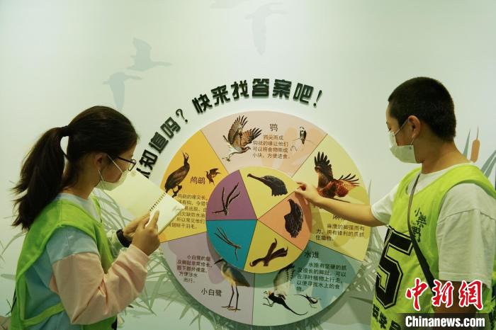 圖為小朋友在青海西寧湟水國家濕地公園科普館內(nèi)參觀學習?！●R銘言 攝