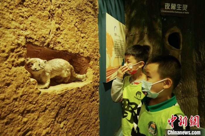 圖為小朋友在青海西寧湟水國家濕地公園科普館內(nèi)參觀學習?！●R銘言 攝