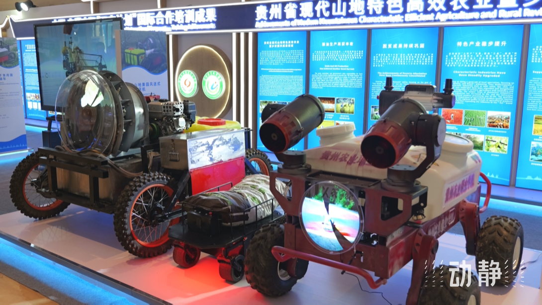 展示成果分享經(jīng)驗，中國—東盟教育交流周深化合作共創(chuàng)未來！