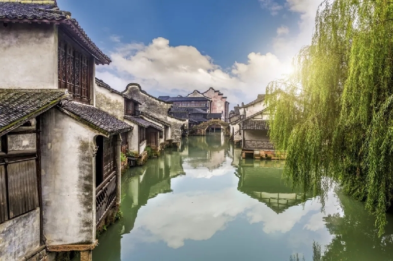 烏鎮(zhèn)動(dòng)觀察｜這個(gè)字，牽起國(guó)際交流互鑒之紐帶