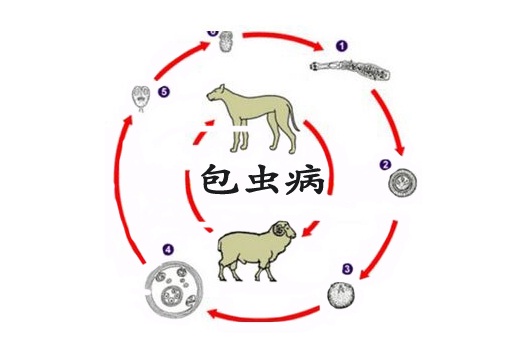 無(wú)標(biāo)題.jpg
