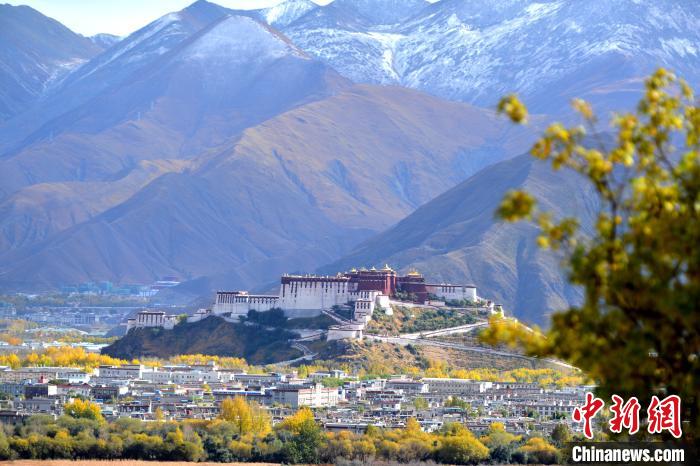 10月24日，雪山、布達拉宮和秋色組成“風景畫”?！〗w波 攝