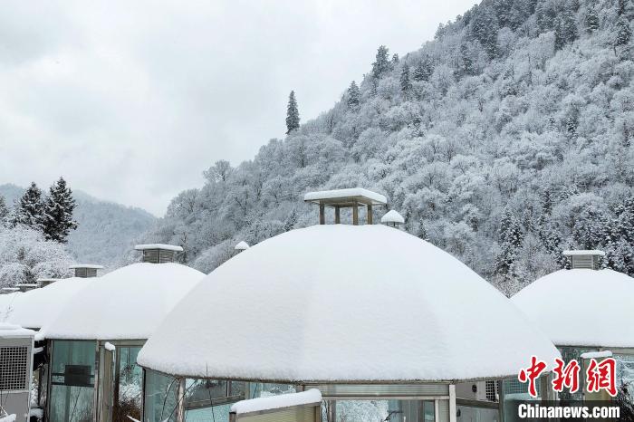 大熊貓國家公園王朗片區(qū)春雪如畫，宛若仙境?！×_春平 攝