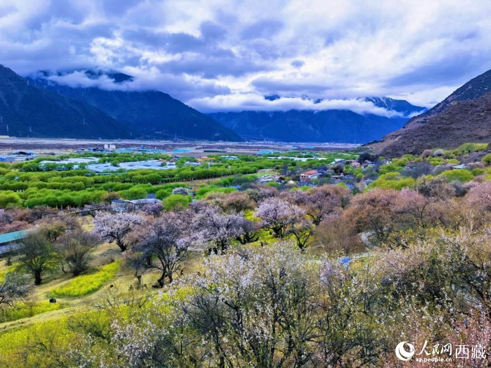 桃花從中的“童話小鎮(zhèn)”。人民網(wǎng) 李海霞攝