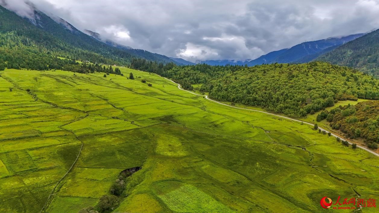 圖為航拍高山牧場(chǎng)鳥瞰圖。人民網(wǎng)記者 次仁羅布攝