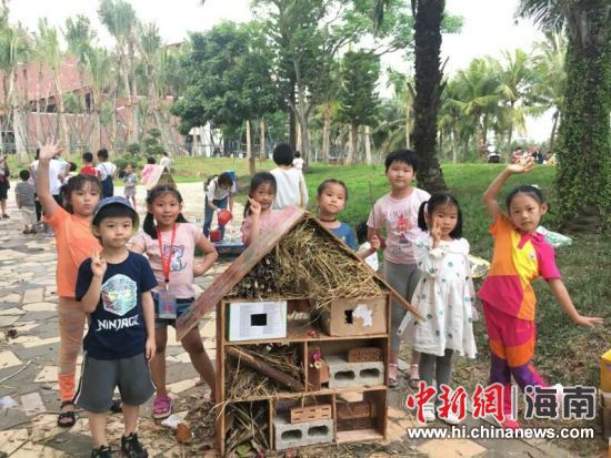 親子搭建的“昆蟲旅館”。 朱子彪 攝